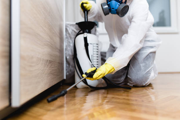 Best Bed Bug Extermination  in Mackinaw, IL