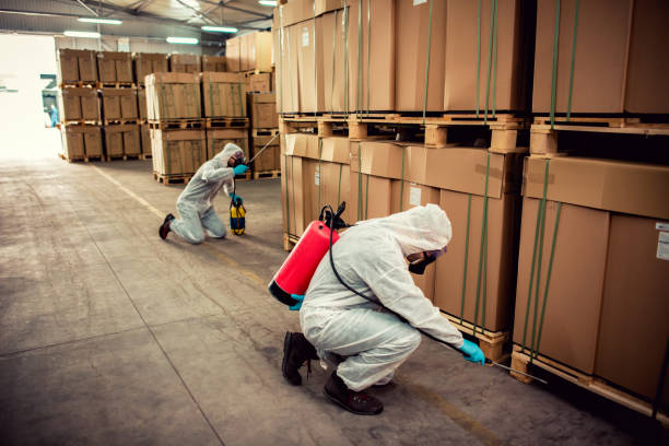  Mackinaw, IL Pest Control Pros