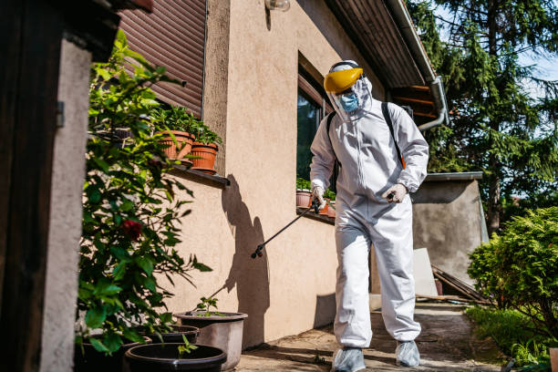 Best Local Pest Control Services  in Mackinaw, IL