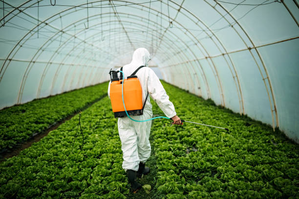 Best Affordable Pest Control Services  in Mackinaw, IL