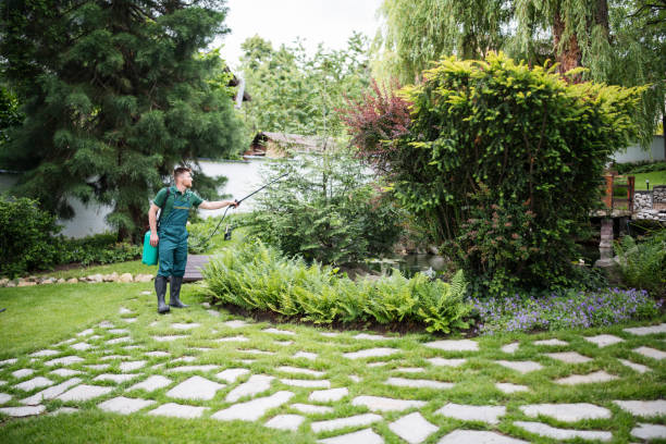Best Mosquito Control Services  in Mackinaw, IL