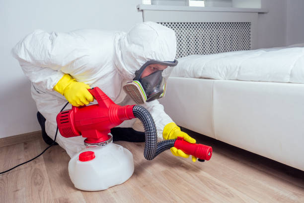 Flea Control Services in Mackinaw, IL