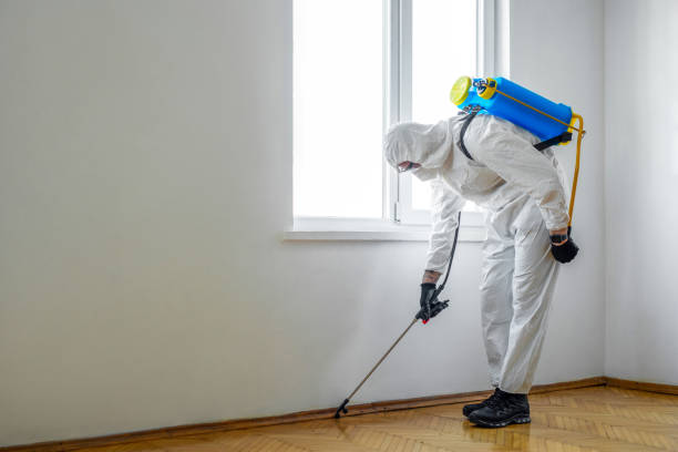 Reliable Mackinaw, IL Pest Control Solutions