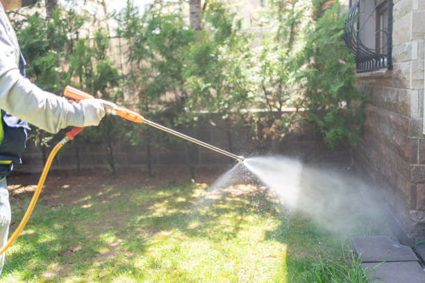 Best Best Pest Control Companies  in Mackinaw, IL