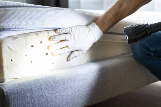 Best Commercial Pest Control Services  in Mackinaw, IL