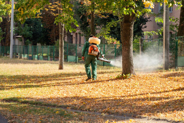 Best Bed Bug Extermination  in Mackinaw, IL