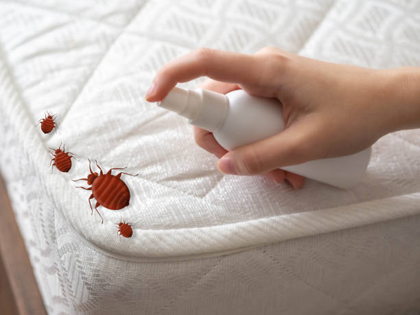 Best Residential Pest Control  in Mackinaw, IL