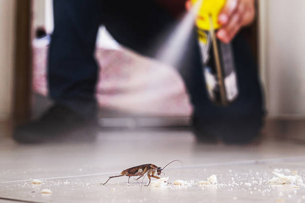 Best Best Pest Control Companies  in Mackinaw, IL