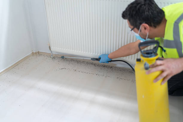 Best Pest Control Near Me  in Mackinaw, IL