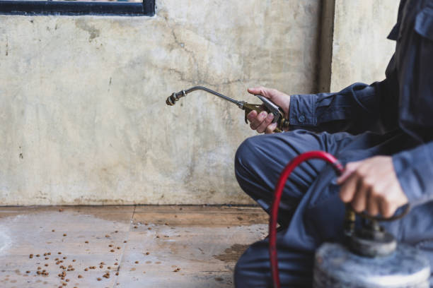 Best Pest Inspection Near Me  in Mackinaw, IL