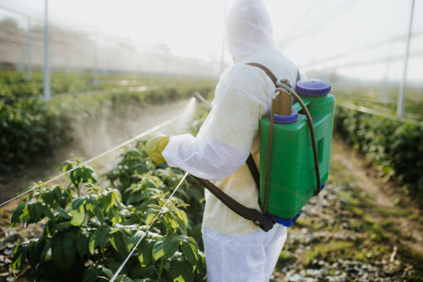 Best Termite Control Services  in Mackinaw, IL